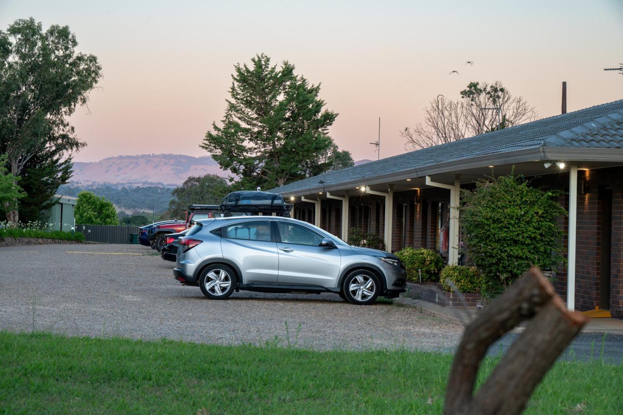 Tumut Valley Motel Pet Friendly Екстериор снимка